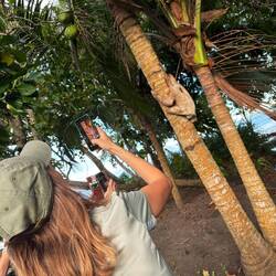Und dann kommen wir an den Strand und sehen unser 1. 🦥 vom Baum runter gehen 🥰