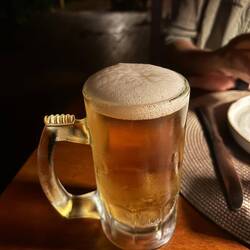 Bier 🍺