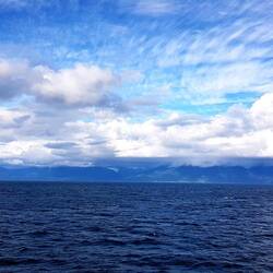 Towards evening the sun came out again...