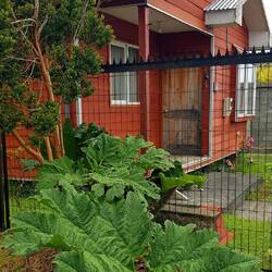 This type of house reminds me of Scandinavia.