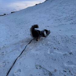 Could be something down there