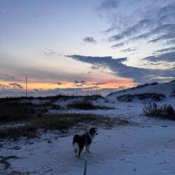 Pretty sweet spoil island