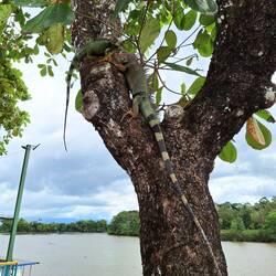 ...sonst hätte ich diese beiden Hübschen verpasst!