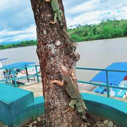 Zum Glück musste ich warten!