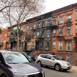 Brooklyn ungeschminkt.