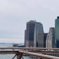 Ich sehe sie zum ersten Mal in echt. Klein, aber real.