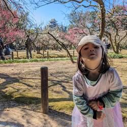 Heureusement que les pruniers sont en fleurs pour égayer