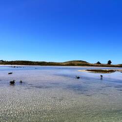Griffith Island