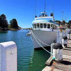 Hafen in Port Fairy