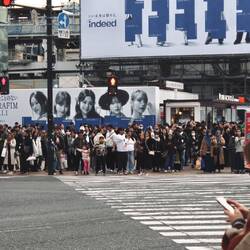 Shibuya Crossing