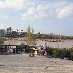 Raubtierfütterung 🐈🐈🐈🐈