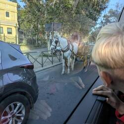 Ganz normal in Sevilla an der Ampel