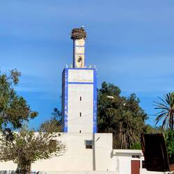 Moschee mit Storchennest