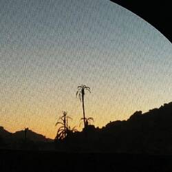 Morgenblick aus Heidis Dachkoje!