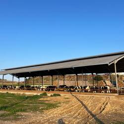 Die Region wird stark landwirtschaftlich genutzt, sodass..