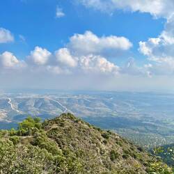 ..die (eingeschränkte) Aussicht bleibt.