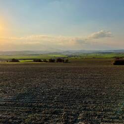..die Suche nach einem nicht..