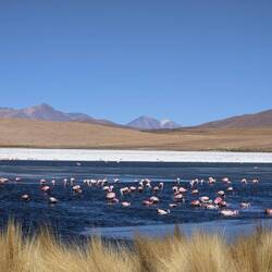 One of the many beautiful lakes