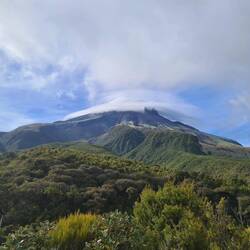 Und am Folgetag endlich in voller Pracht mit Sahnehaube