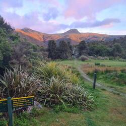 Blick auf die Pouakai Berge