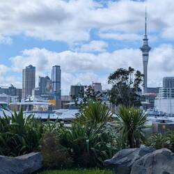 Looking back at the CBD from the bike route