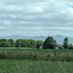 Coromandel range appearing on the distance