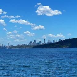 Sydney City aus der Ferne