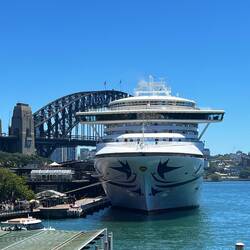 Ein Kreuzfahrtriese in Darling Harbour