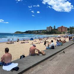 Manly Beach