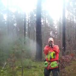 Bilder einer Wildkamera in der Nachbarjagd