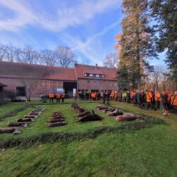 Tolle Kulisse vor dem Forsthaus "Siehdichum!"