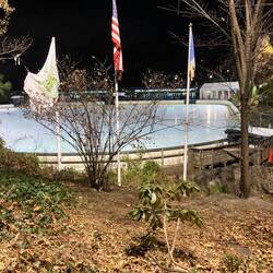 Die Eisbahn von Kevin allein in New York.