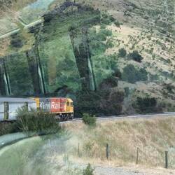 The train!