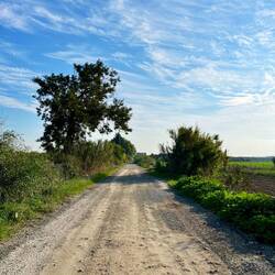 Zur Abwechslung finden sich hier und da mal Schotterstraßen, an denen..
