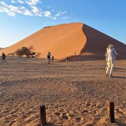 Dune 45