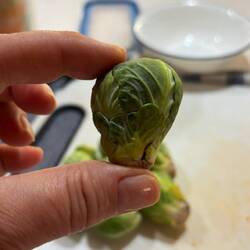 Hier ist alles überdimensional groß - auch die brussel sprouts