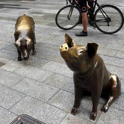 Horatio and Truffels
