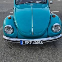 Vermisst jemand seinen Käfer?
