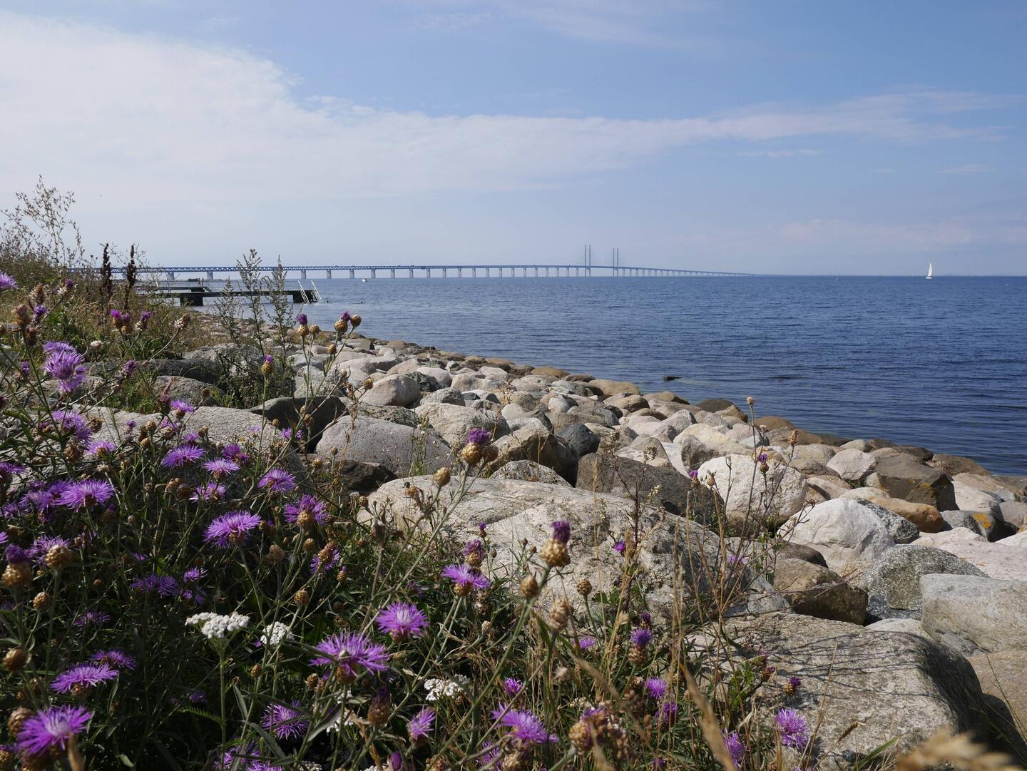 Öresundbrücke