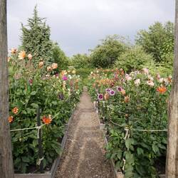 Schlossgarten (Slottsträdgården)