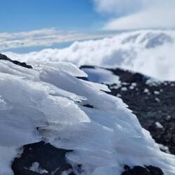 Sieht verschärft aus