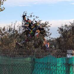 Was es nicht alles gibt 👀