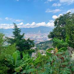 Comuna 8 - das grüne Kaffeeviertel