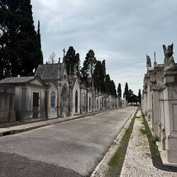 Beautiful cemetery