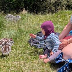 Jule wurde die Küken ja schon gerne anfassen..