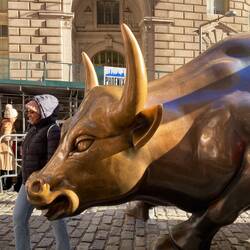 Charging Bull