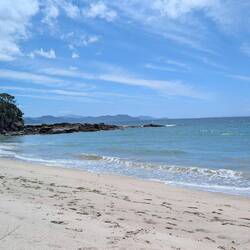This is were we saw the shark
