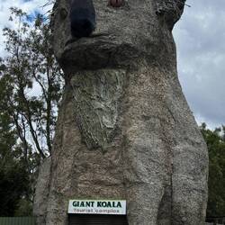 Und dann Giant Koala Skulptur 😂😂