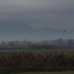 Nebelberge