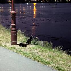 ...wie sie die steilen Felsen am Ufer erklommen habe.